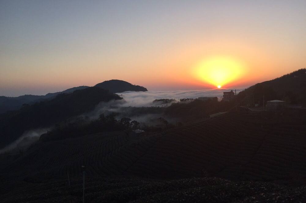 Photo of Others in Alishan