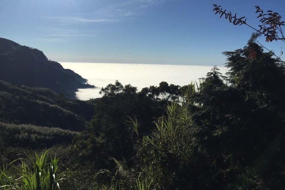 Photo of Outdoor in Alishan