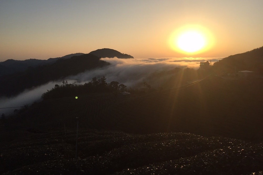 Photo of Others in Alishan