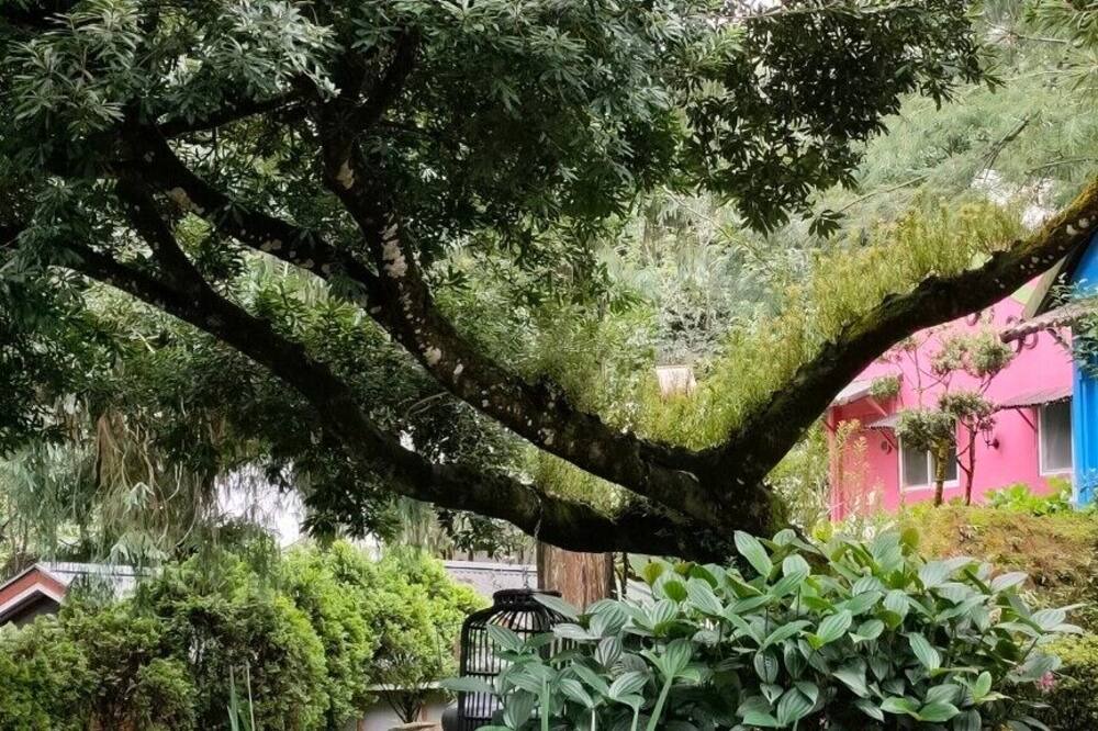 Photo of Outdoor in Xitou
