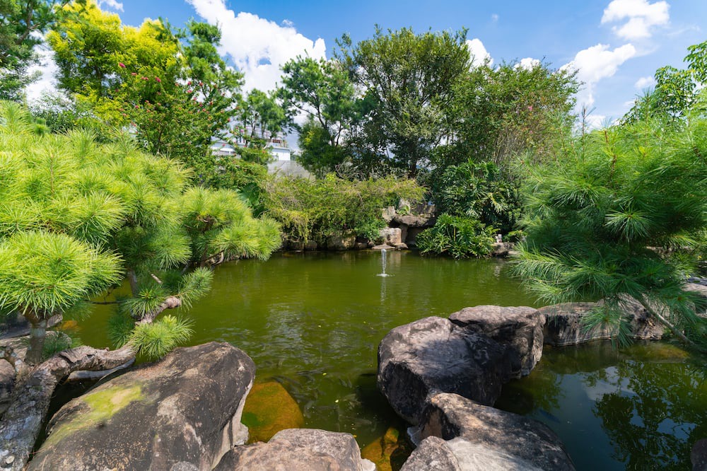 Photo of Outdoor in Puli