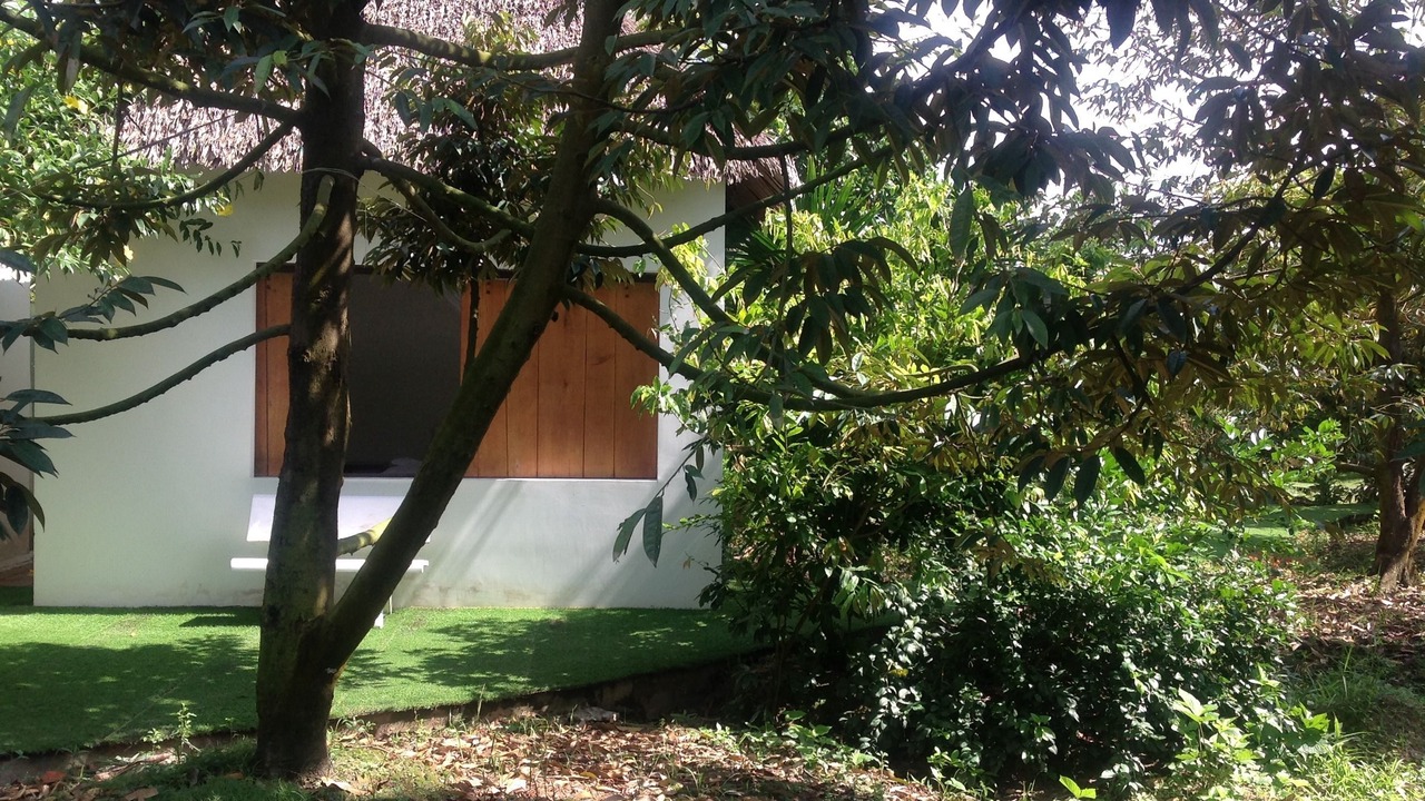 Photo of Outdoor in Cai Be