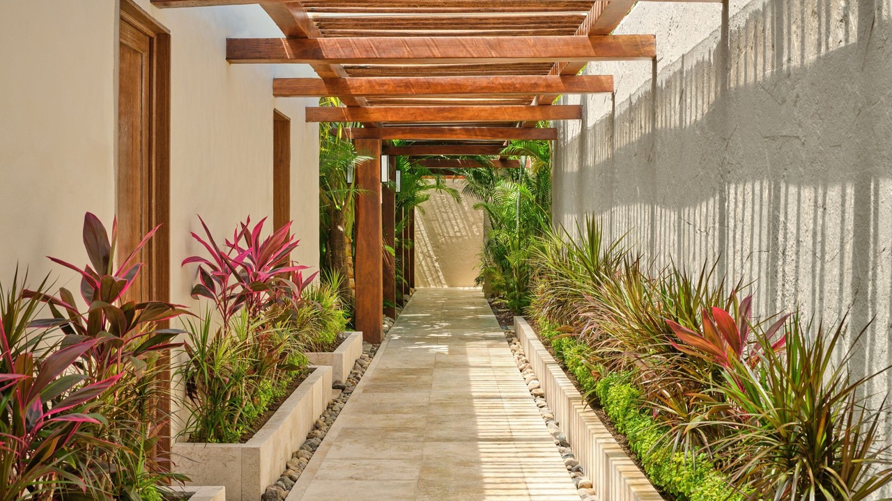 Photo of Others in Punta de Mita