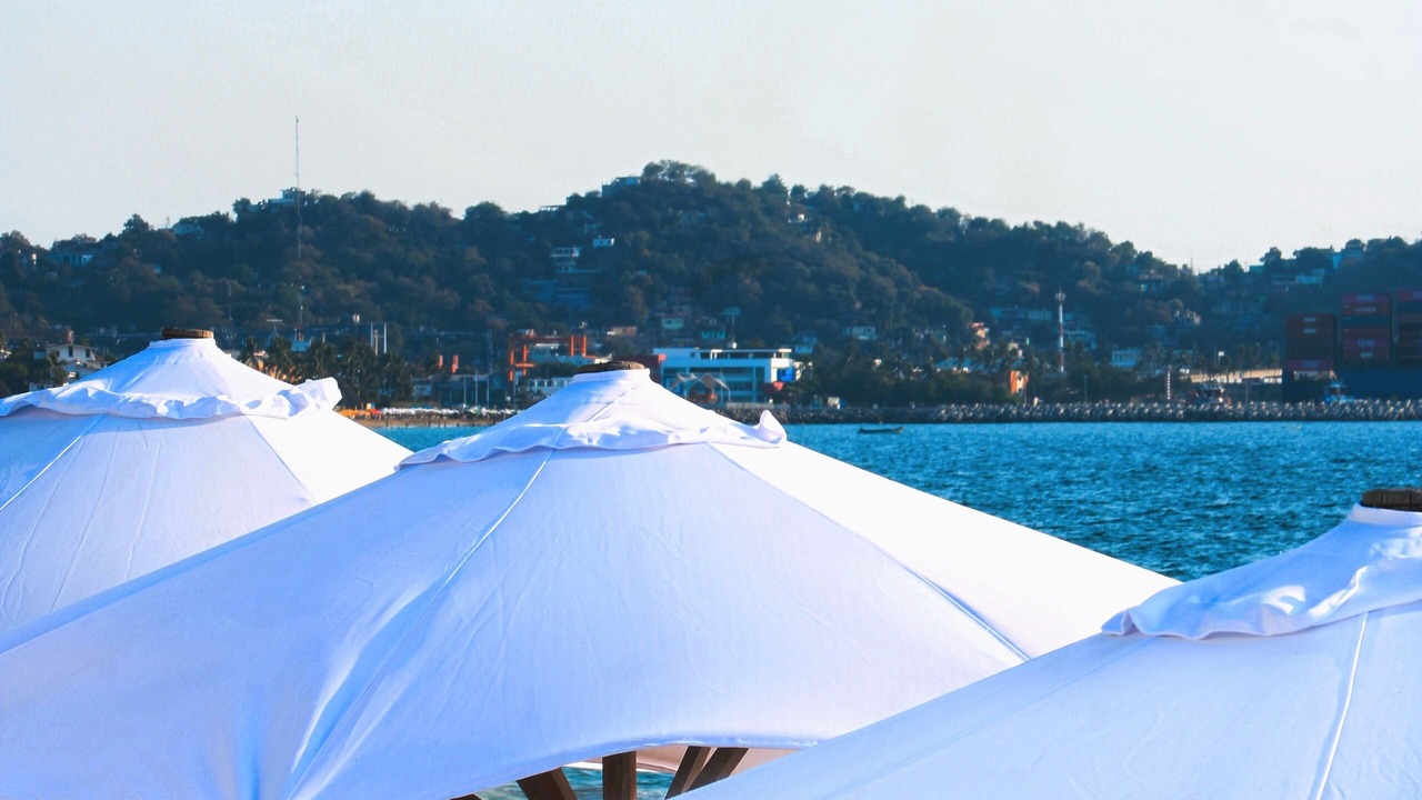 Photo of Others in Manzanillo