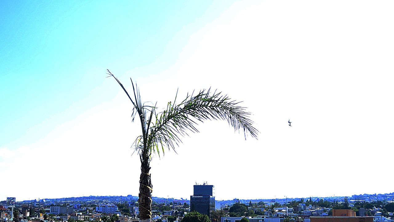 Photo of Outdoor in Leon