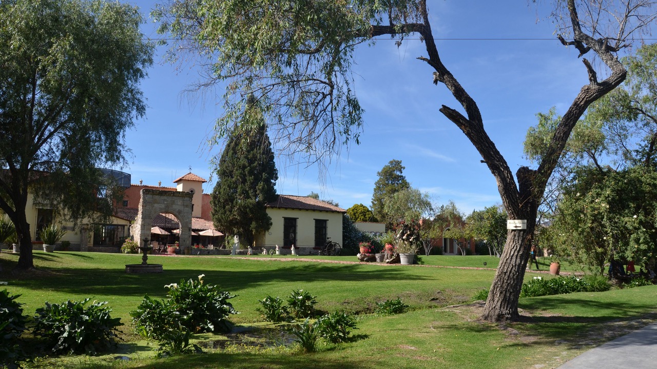 Photo of Others in Zapopan