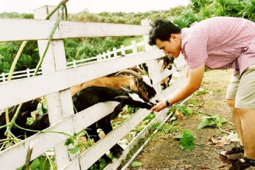 Photo of Others in Manzhou