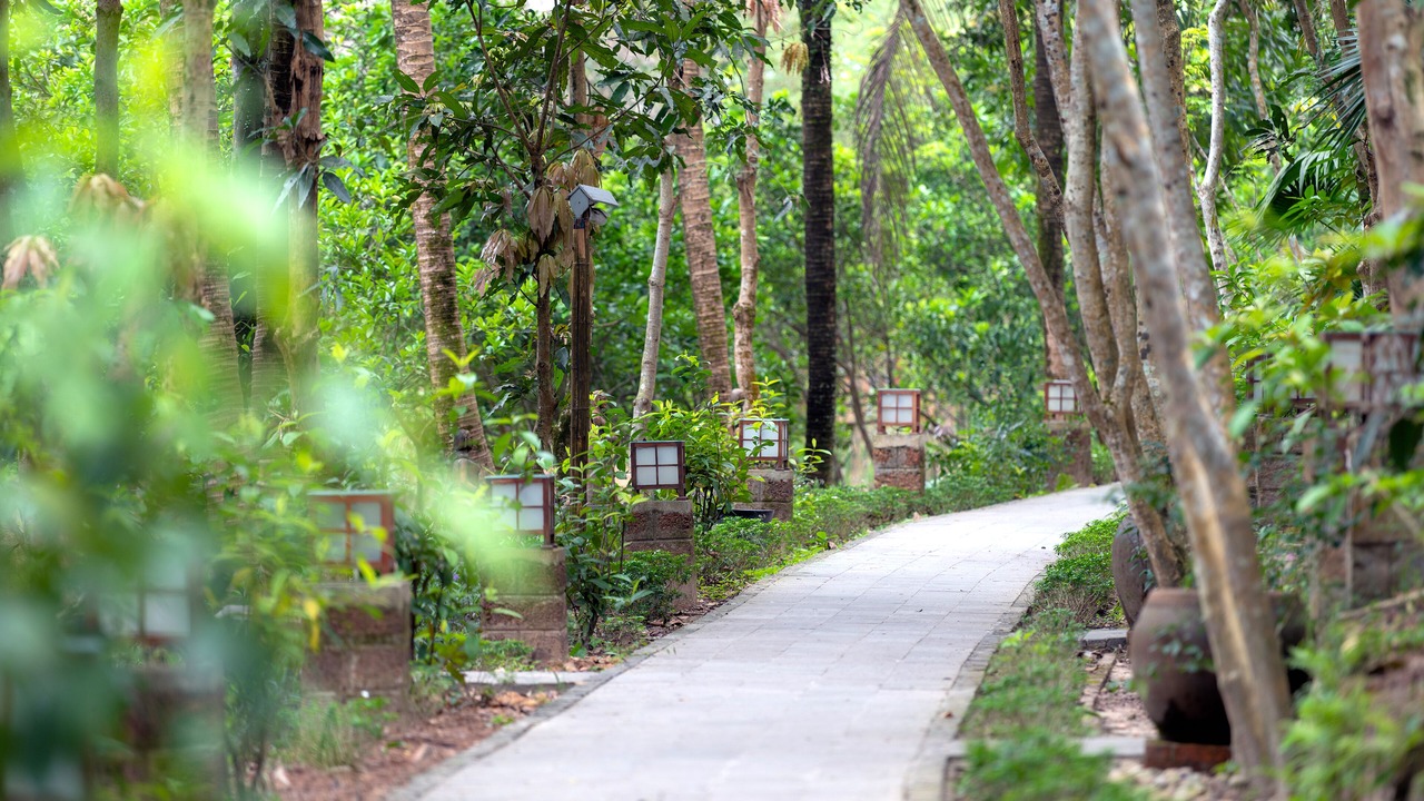 Photo of Outdoor in Thuy Xuan