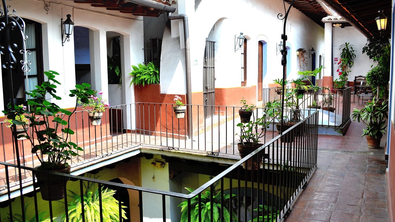 Photo of Others in Xalapa