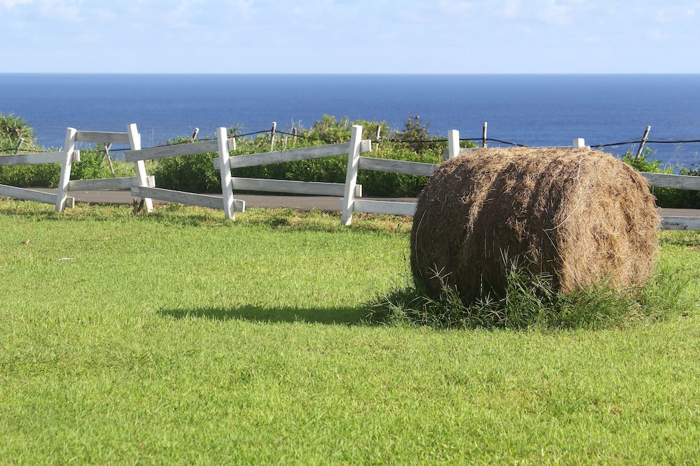 Photo of Outdoor in Eluan