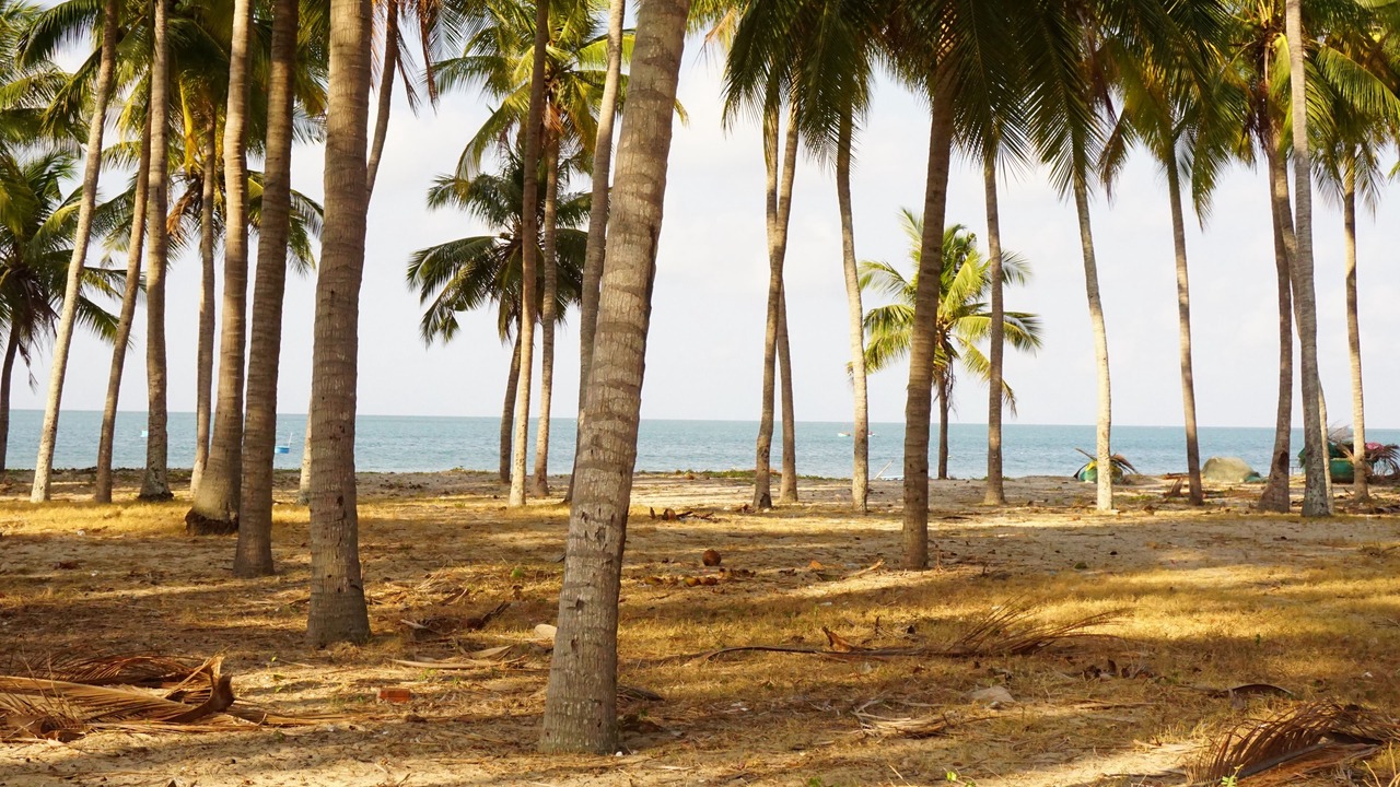 Photo of Outdoor in East Ham Tien Beach
