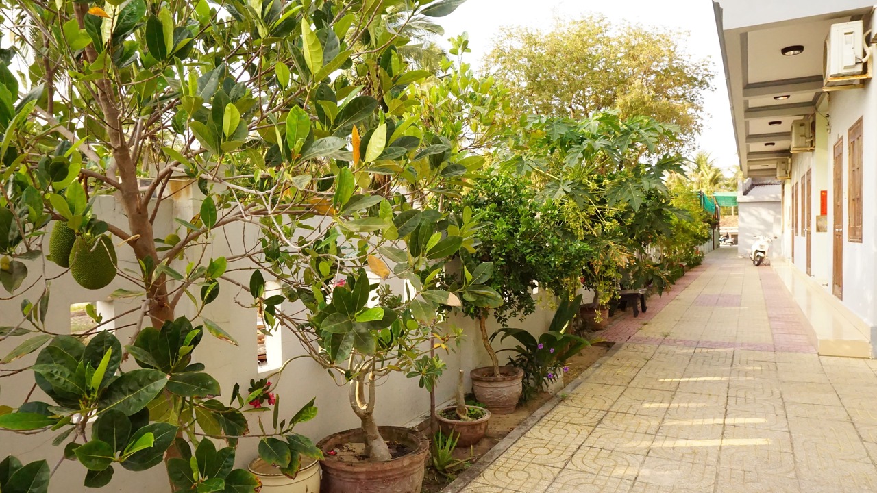 Photo of Outdoor in East Ham Tien Beach