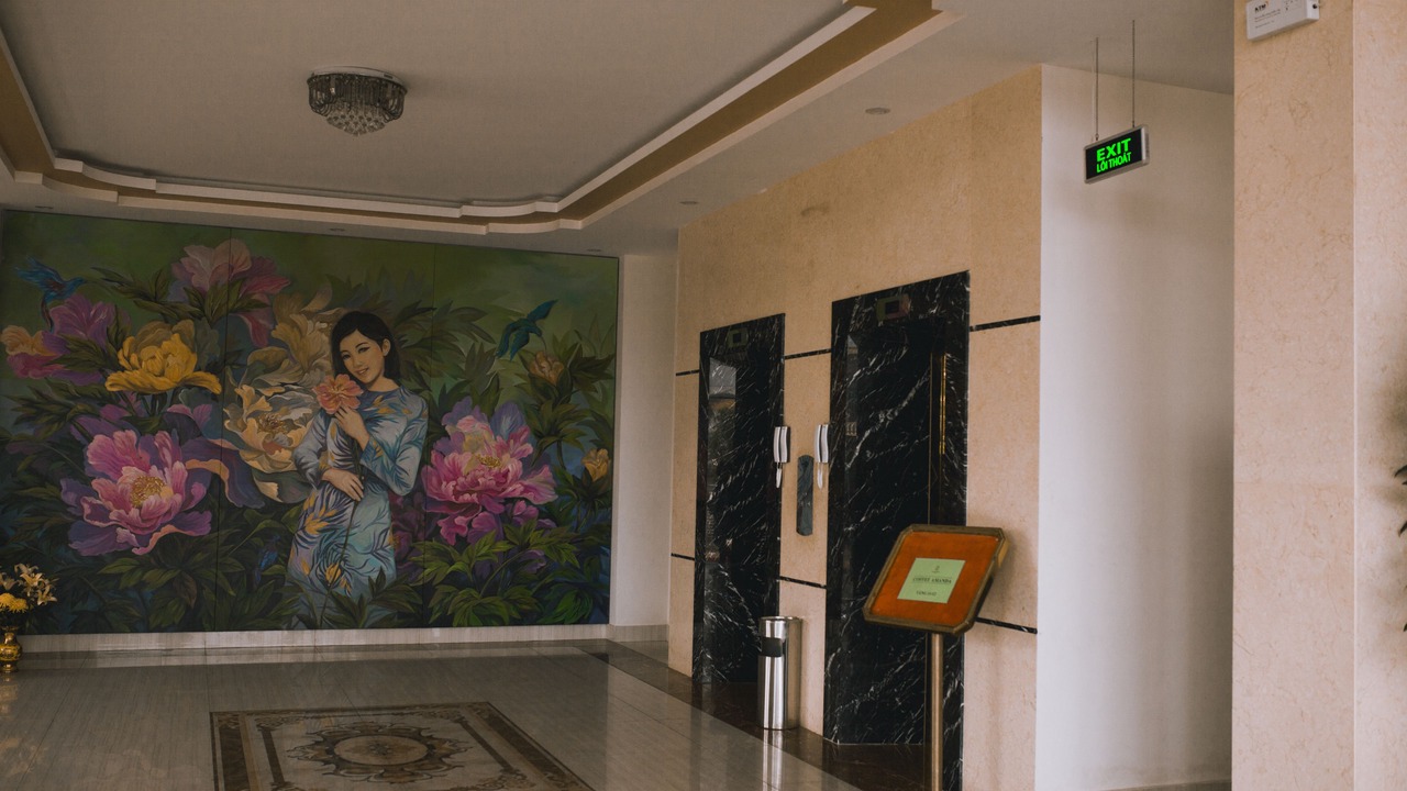 Photo of Others in Bao Ninh