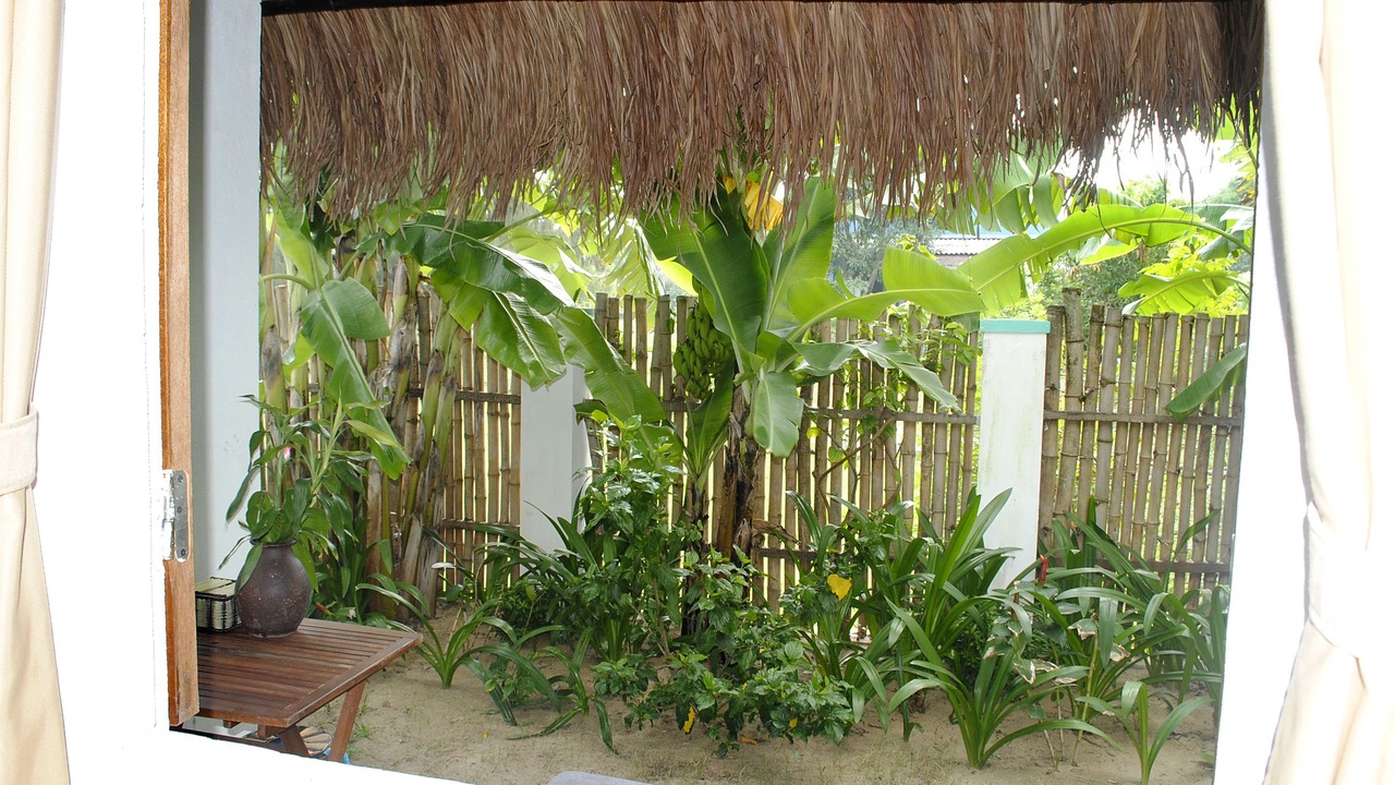 Photo of Outdoor in Cam An