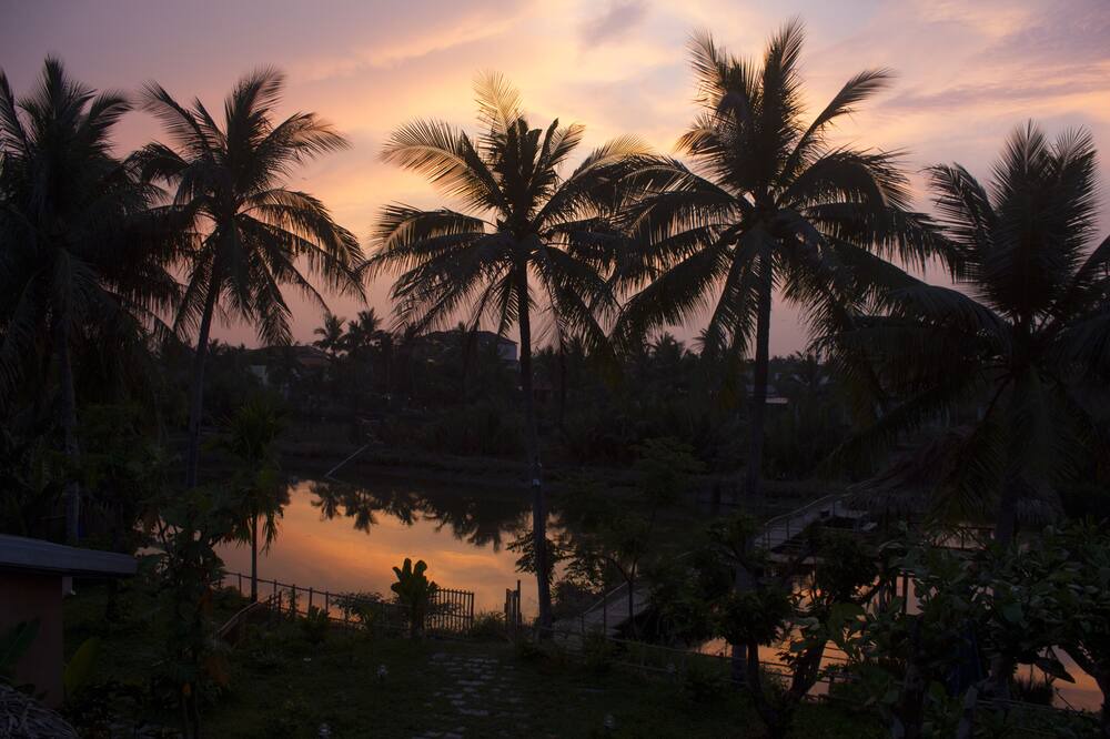 Photo of Others in Cam Thanh