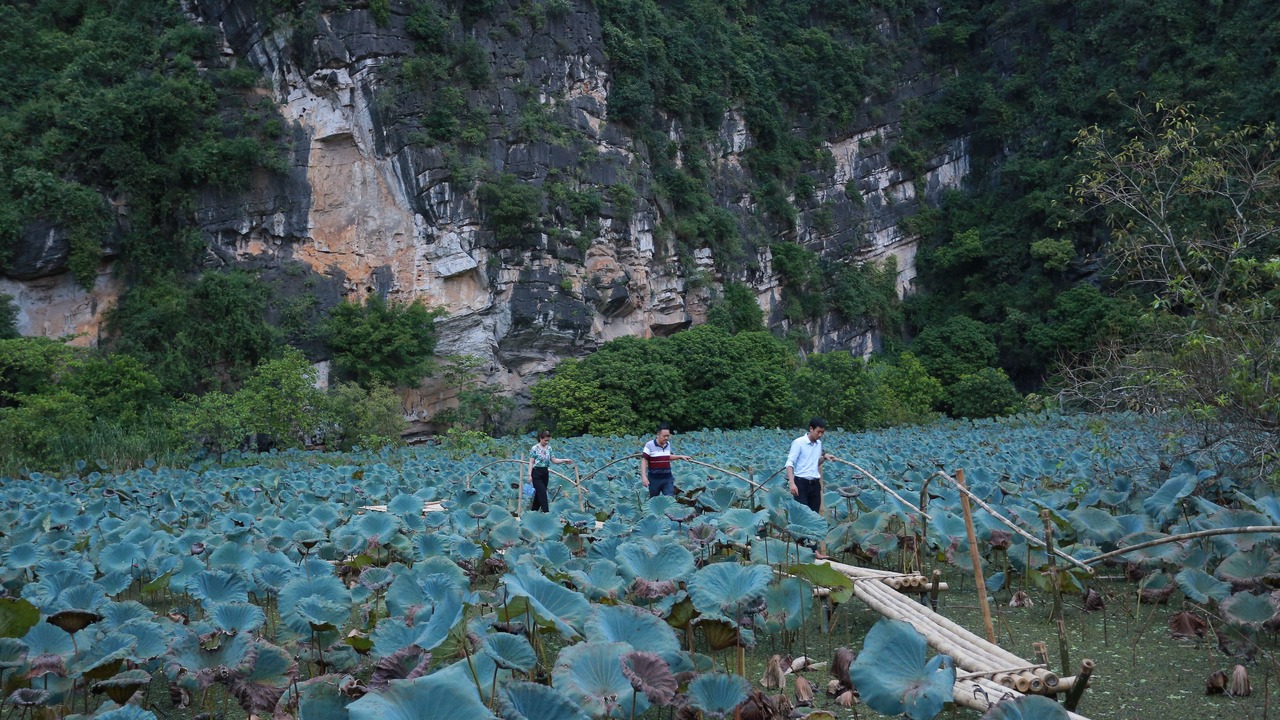 Photo of Others in Hoa Lu