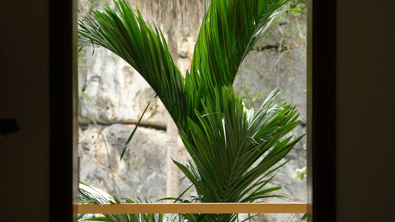 Photo of Outdoor in Hoa Lu
