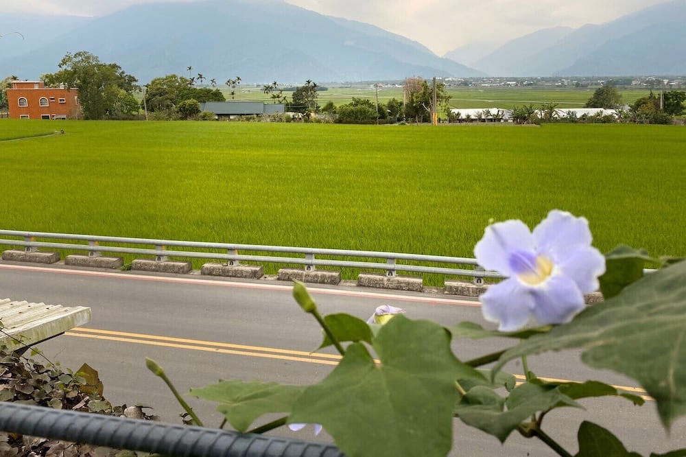 Photo of Outdoor in Chishang