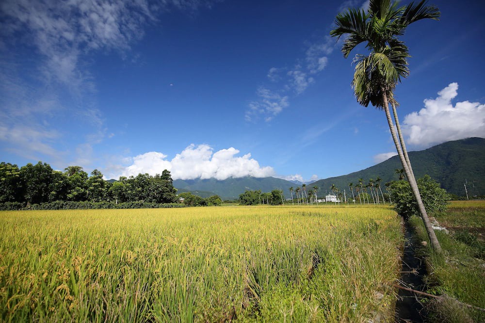 Photo of Outdoor in Ji'an