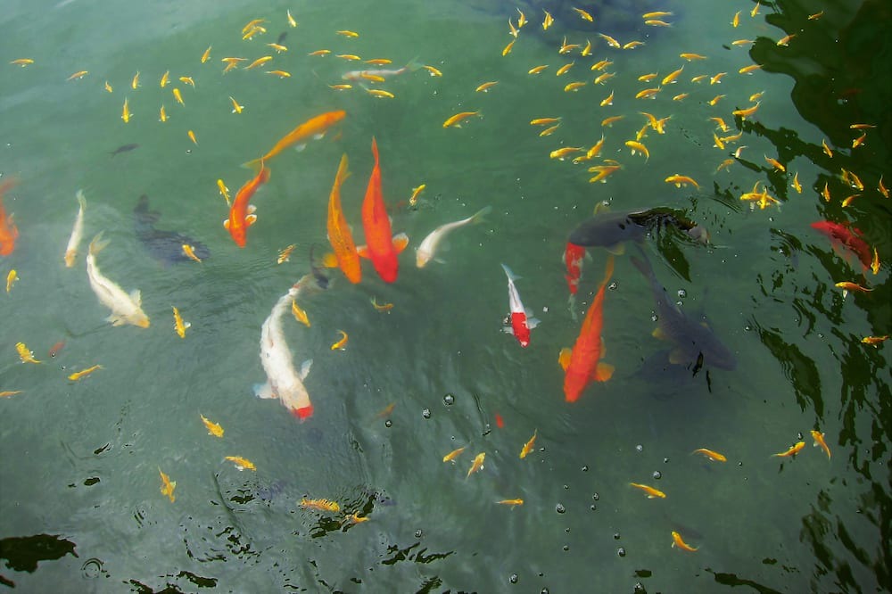 Photo of Others in Ji'an