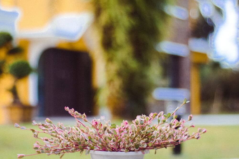 Photo of Outdoor in Shoufeng