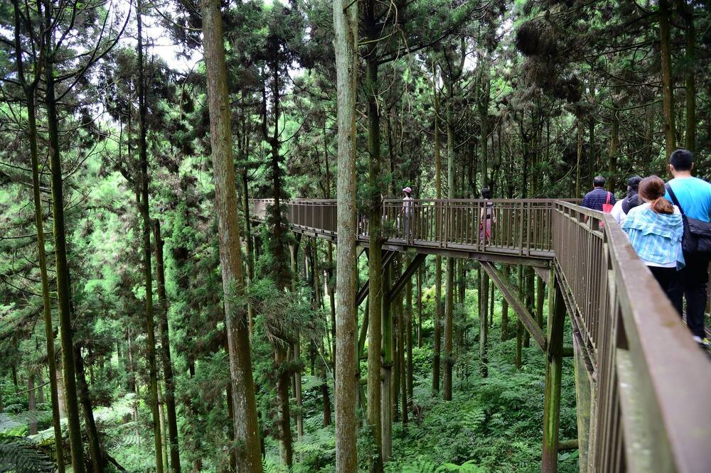 Photo of Outdoor in Xitou