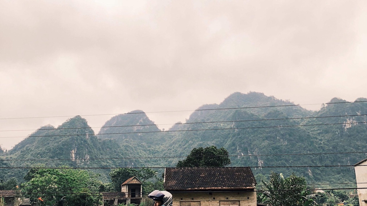 Photo of Others in Phong Nha