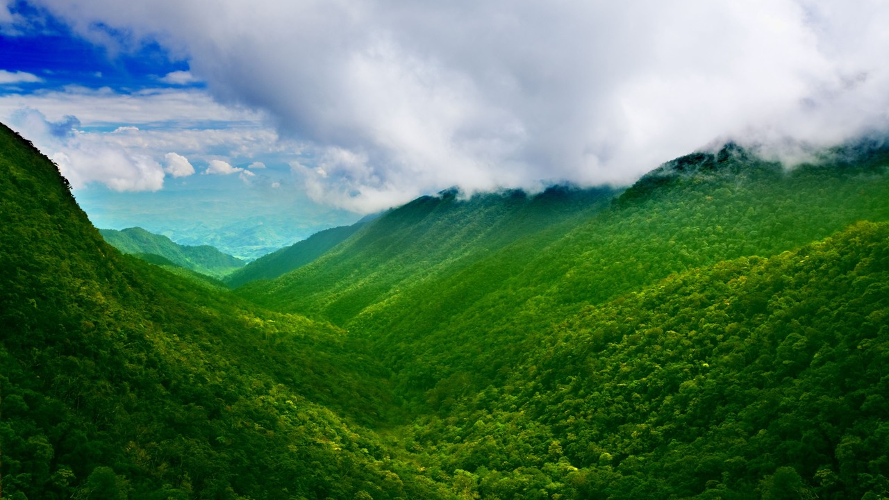 Photo of Outdoor in Phong Dien