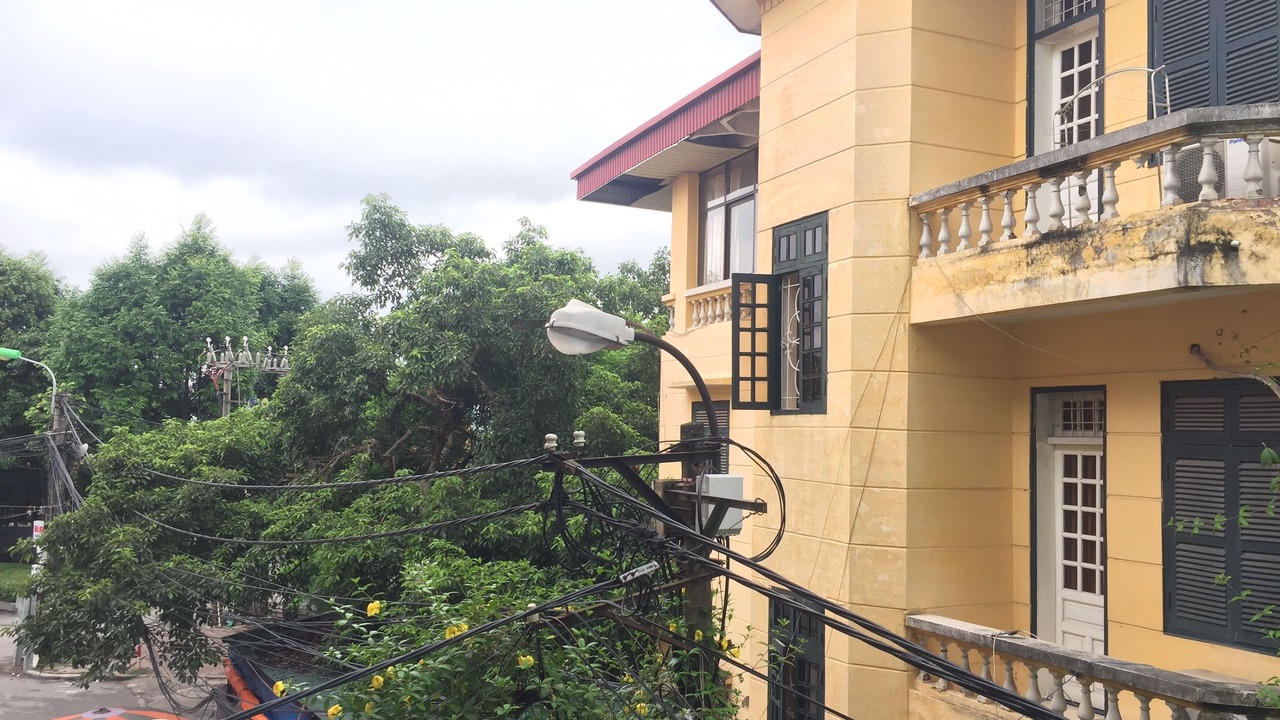 Photo of Outdoor in Nhat Tan