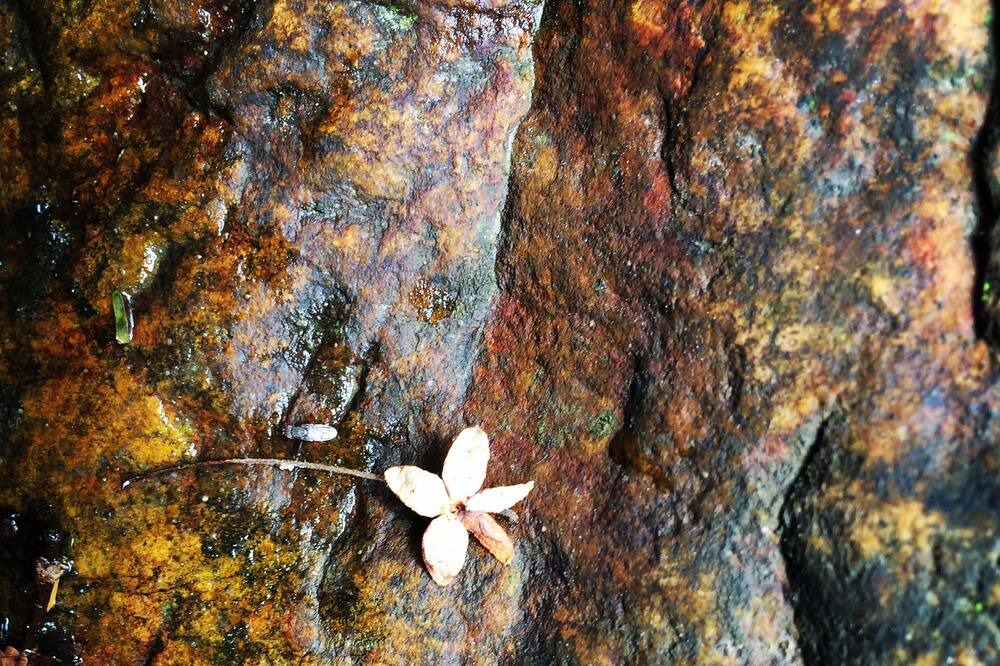 Photo of Others in Phong Nha