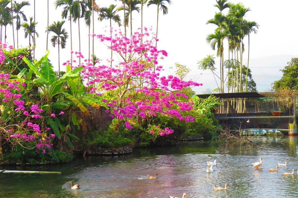 Photo of Outdoor in Puli