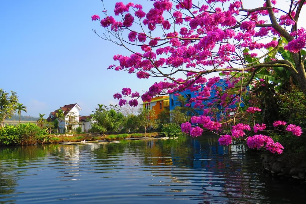 Photo of Outdoor in Puli