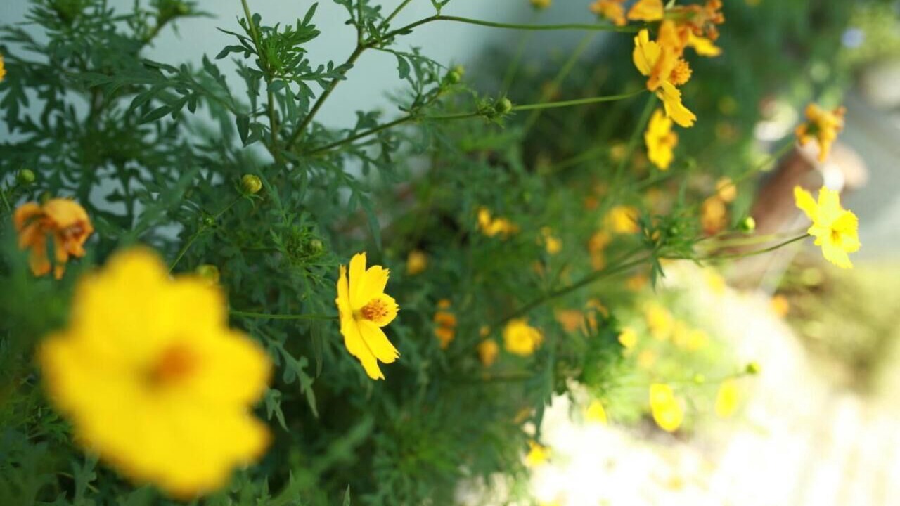 Photo of Outdoor in Bao Ninh