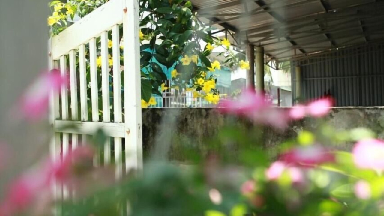 Photo of Outdoor in Bao Ninh