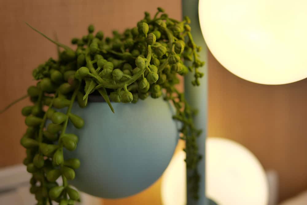 Photo of Bedroom in Yuchi