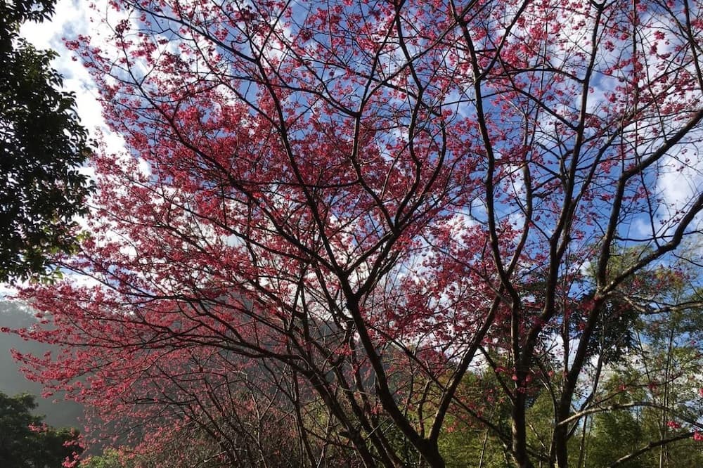 Photo of Outdoor in Shitan