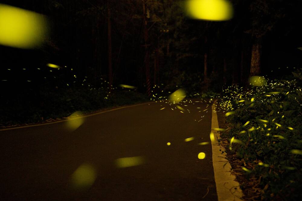 Photo of Outdoor in Zhuqi