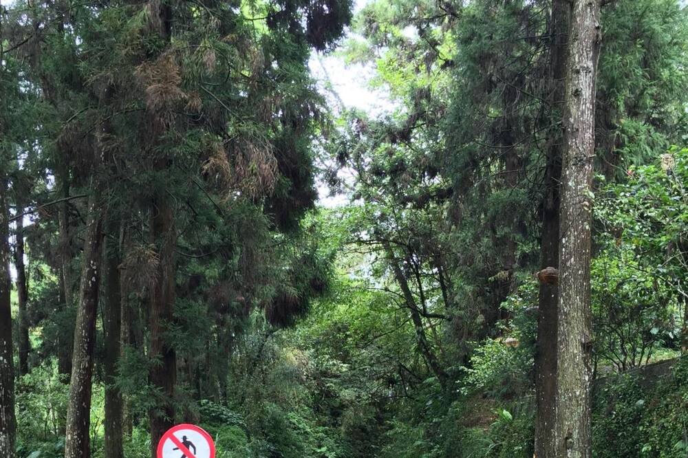 Photo of Outdoor in Zhuqi