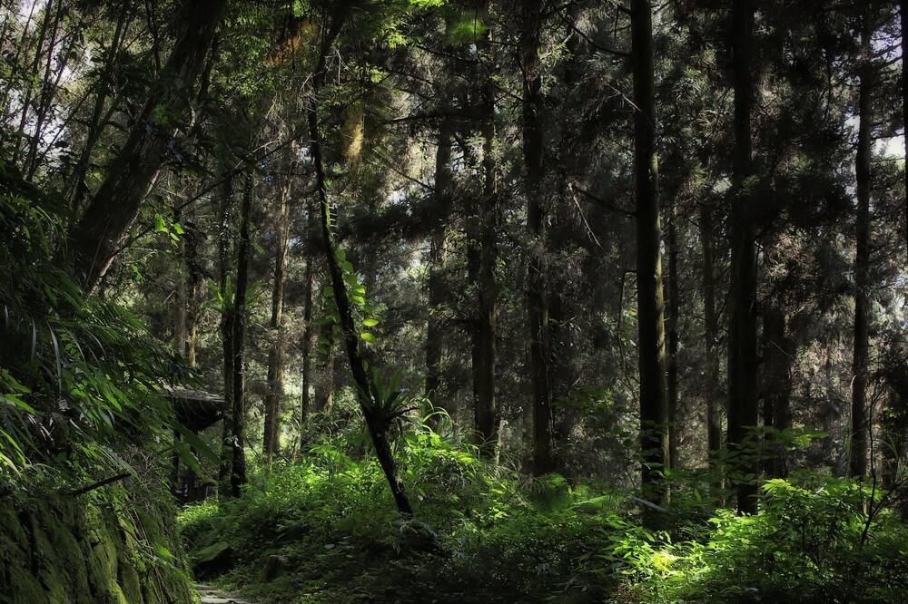 Photo of Outdoor in Zhuqi