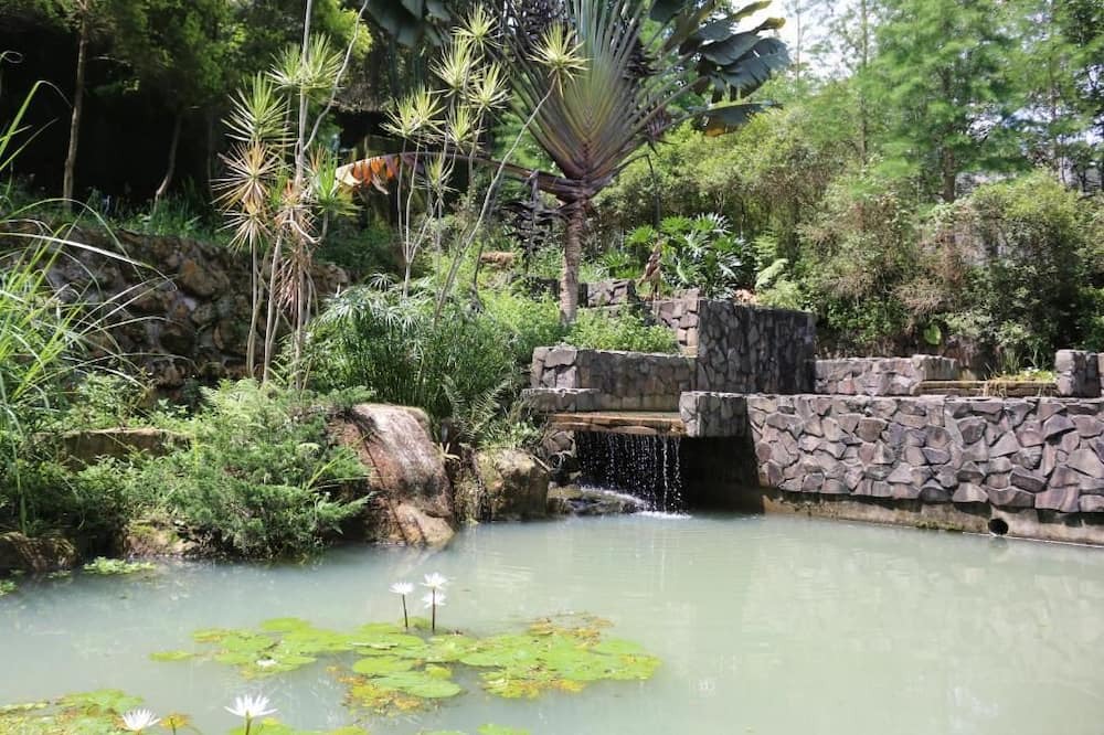 Photo of Outdoor in Puli