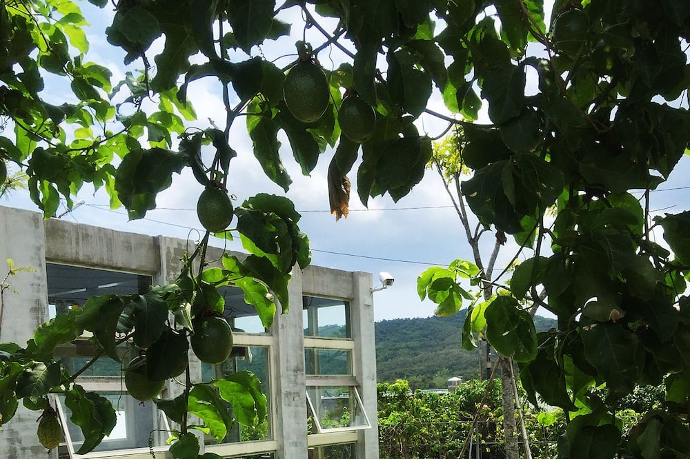 Photo of Outdoor in Gangkou