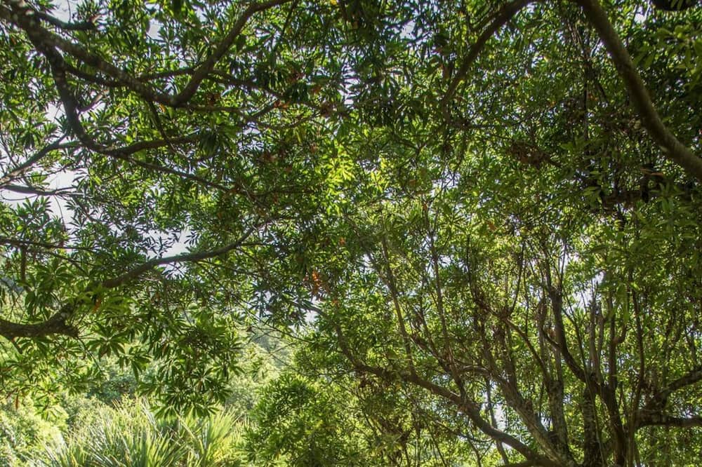 Photo of Outdoor in Xiulin