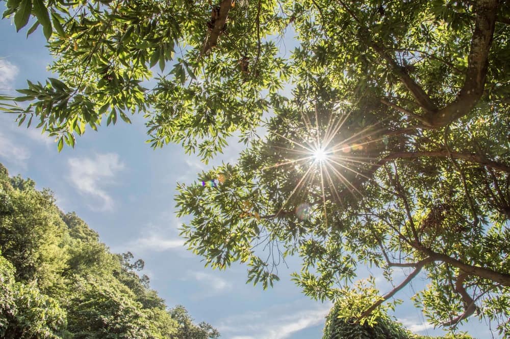 Photo of Outdoor in Xiulin