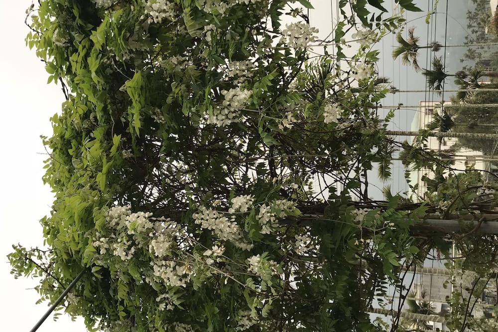 Photo of Outdoor in Meishan