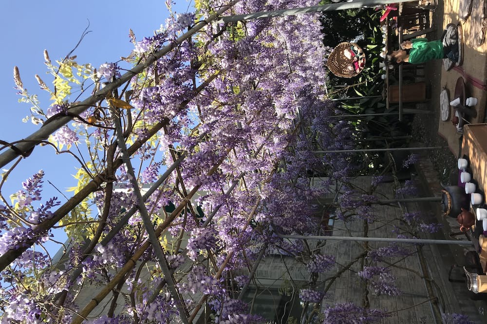 Photo of Outdoor in Meishan