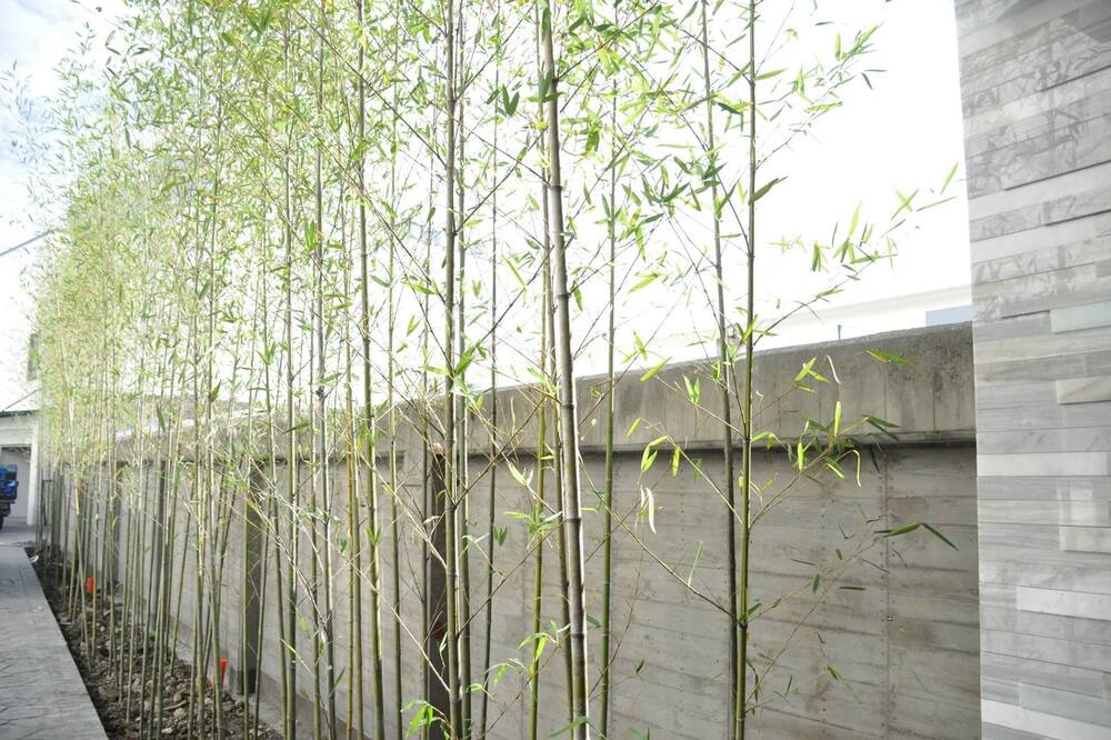Photo of Outdoor in Yuanlin