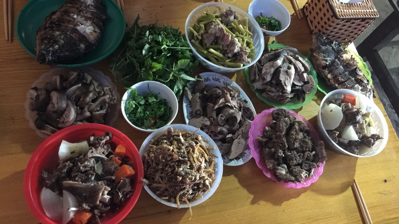 Photo of Others in Hau Thao