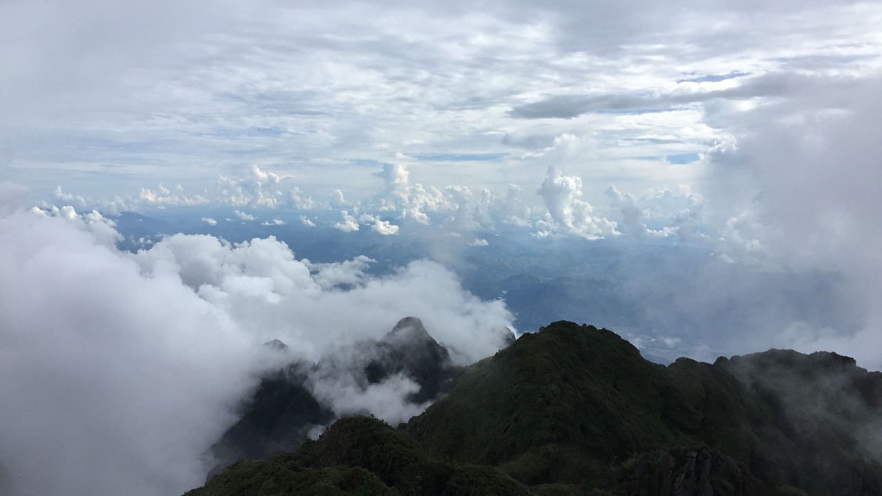 Photo of Others in Hau Thao