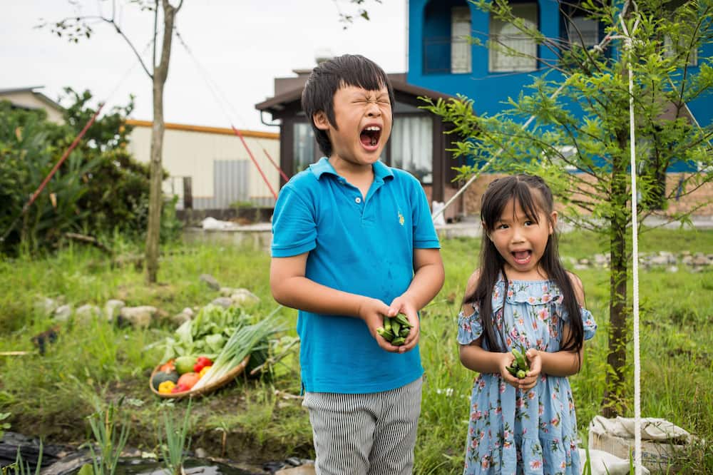 Photo of Outdoor in Dongshan