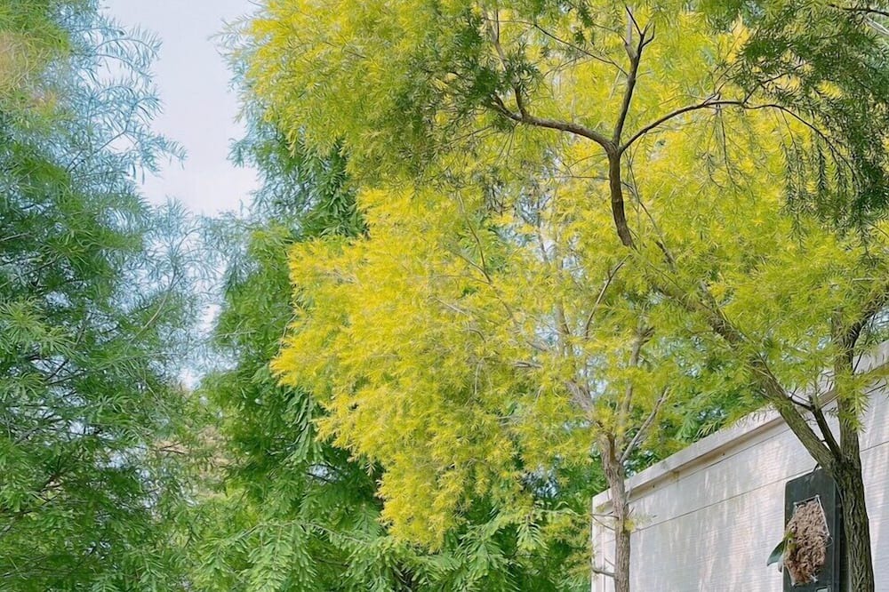 Photo of Patio Balcony in Zhuolan